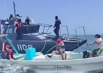 La huida que terminó en alta mar: Marina frena pesca furtiva de pepino de mar