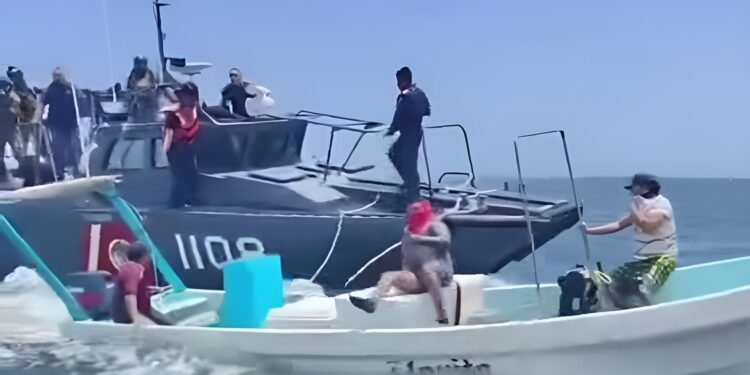 La huida que terminó en alta mar: Marina frena pesca furtiva de pepino de mar