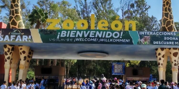 Alerta inédita: gusano barrenador llega por primera vez a un zoológico mexicano