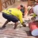 Sisal en alerta: denuncian que desarrollo inmobiliario afecta a la tortuga carey