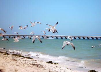 El calor llena las playas; puertos registran alta afluencia de visitantes