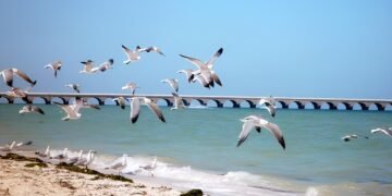 El calor llena las playas; puertos registran alta afluencia de visitantes