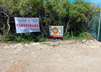 ¿Freno al proyecto Las Dunas? PROFEPA clausura obra en Chuburná Puerto