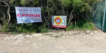 ¿Freno al proyecto Las Dunas? PROFEPA clausura obra en Chuburná Puerto