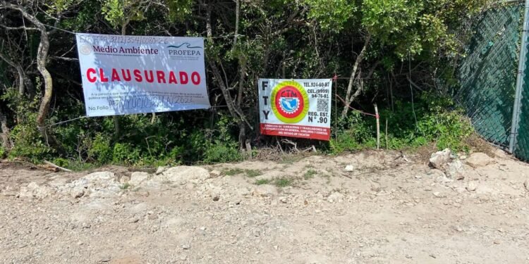 ¿Freno al proyecto Las Dunas? PROFEPA clausura obra en Chuburná Puerto