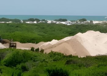 Más de 43 mil personas respaldan la protección de las dunas de Chuburná