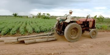 ¿Qué pasa con las milpas de Yucatán? Advierten riesgos por agroquímicos