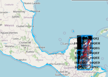 ¿Vas a la playa? Así puedes revisar desde tu celular si hay sargazo antes de salir
