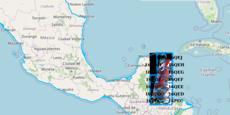 ¿Vas a la playa? Así puedes revisar desde tu celular si hay sargazo antes de salir