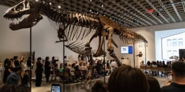Del Cretácico a la élite: “Gus”, el dinosaurio más caro del mundo