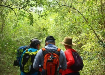 Un viaje a las raíces mayas: lanzan caminata extrema por el Camino del Mayab