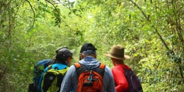 Un viaje a las raíces mayas: lanzan caminata extrema por el Camino del Mayab