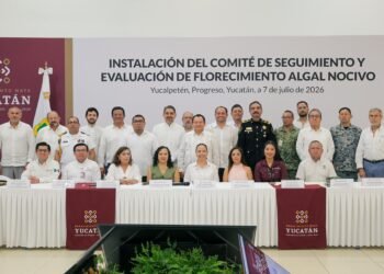 ¿Hay riesgo en las playas? Yucatán activa vigilancia especial por la marea roja