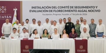 ¿Hay riesgo en las playas? Yucatán activa vigilancia especial por la marea roja