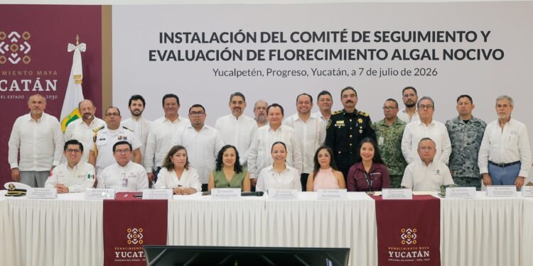 ¿Hay riesgo en las playas? Yucatán activa vigilancia especial por la marea roja