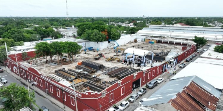 Yucatán crece como polo educativo; este es el proyecto que busca frenar la fuga de talento