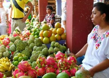 Informalidad pone a prueba el avance laboral de las mujeres en Yucatán
