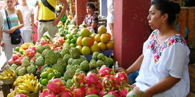 Informalidad pone a prueba el avance laboral de las mujeres en Yucatán