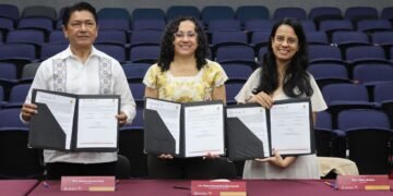La selva maya entra al mercado del carbono; buscan pagar a quienes la protegen