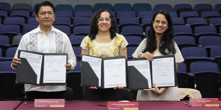 La selva maya entra al mercado del carbono; buscan pagar a quienes la protegen