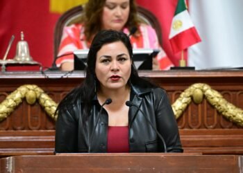 “Ley Pedro Sola” busca frenar mensajes que inciten al maltrato animal; estas serían las penas