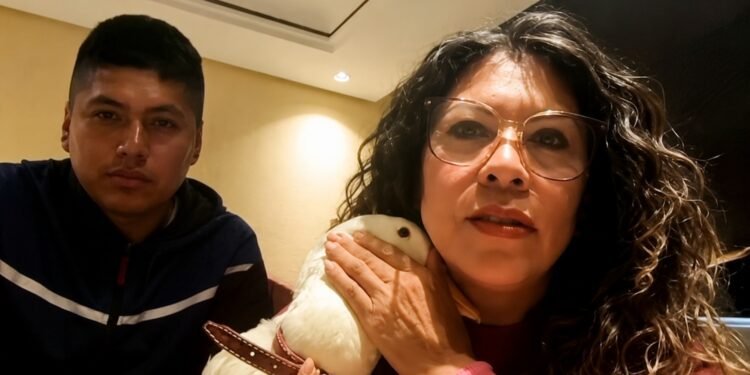 El Pato Merlín consigue casa para su familia; así ocurrió