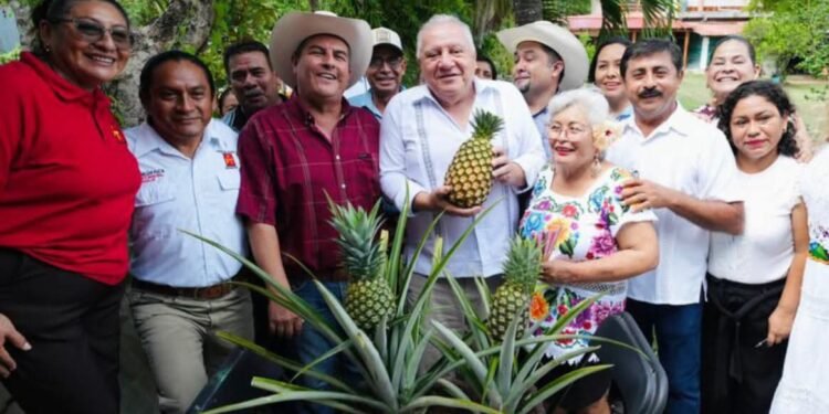Rafael Marín Mollinedo apuesta por una organización cercana a la ciudadanía