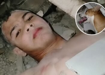 “Mi perro me salvó la vida”; el emotivo testimonio de un sobreviviente rescatado entre los escombros en La Guaira