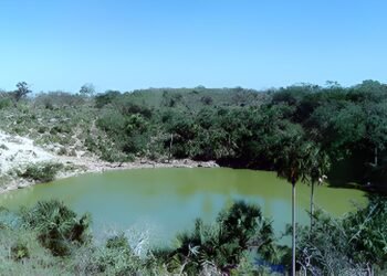 ¿Y si la naturaleza tuviera derechos? La Suprema Corte tiene la última palabra
