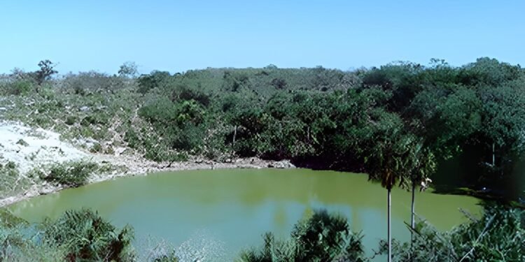 ¿Y si la naturaleza tuviera derechos? La Suprema Corte tiene la última palabra