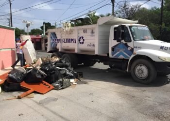 ¿Reciclas en casa? Expertos advierten que eso ya no es suficiente