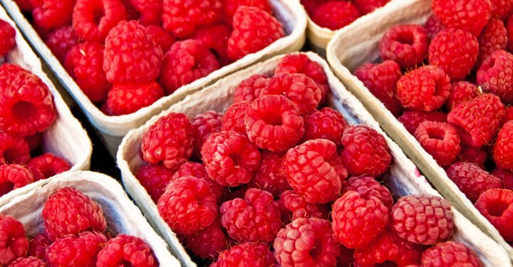 ¿Por qué están retirando del mercado arándanos y frutos rojos en EU?