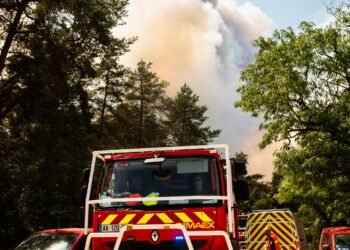 ¿Qué llevó a un bombero a prender fuego a un histórico bosque en Francia?