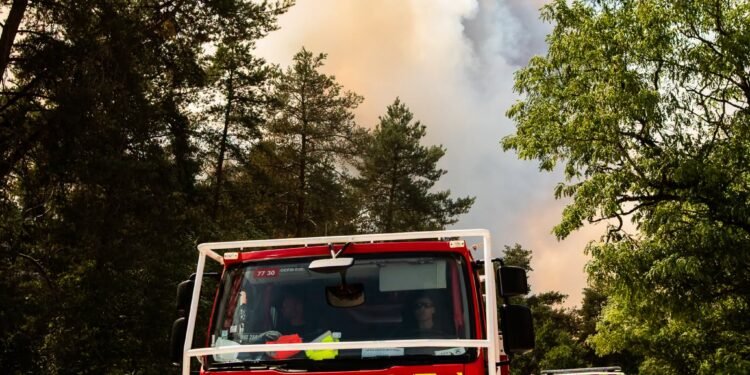 ¿Qué llevó a un bombero a prender fuego a un histórico bosque en Francia?