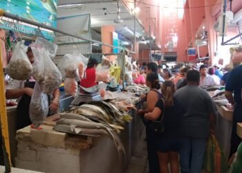 ¿Conoces el área de mariscos del Lucas de Gálvez? Está por renovarse