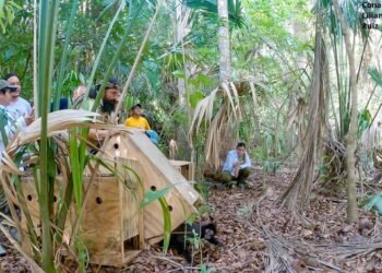 ¿Sabías quiénes son los “jardineros del bosque”? Así regresaron a la naturaleza