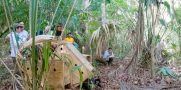 ¿Sabías quiénes son los “jardineros del bosque”? Así regresaron a la naturaleza