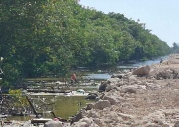 ¿Progreso o retroceso ambiental? Esta es la obra que hoy genera controversia