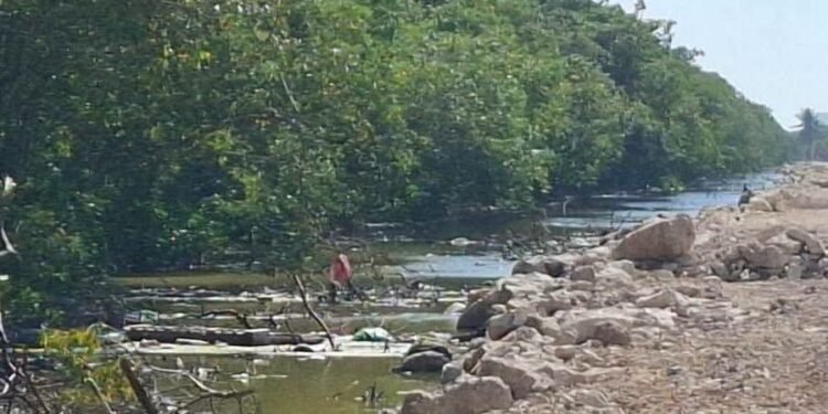 ¿Progreso o retroceso ambiental? Esta es la obra que hoy genera controversia