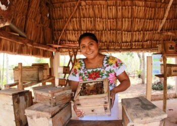 Más allá de Mérida y las playas: 128 comunidades mayas buscan beneficiarse del turismo en Yucatán