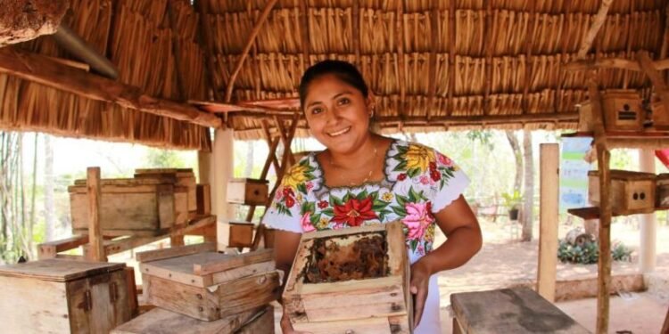 Más allá de Mérida y las playas: 128 comunidades mayas buscan beneficiarse del turismo en Yucatán