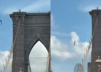 Insólito salto en Nueva York: escala el Puente de Brooklyn y cae al East River