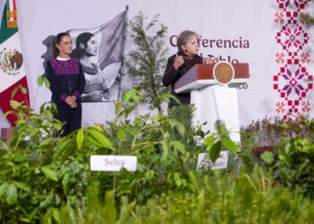 La carrera contra la deforestación ya comenzó; millones de árboles serán sembrados este domingo