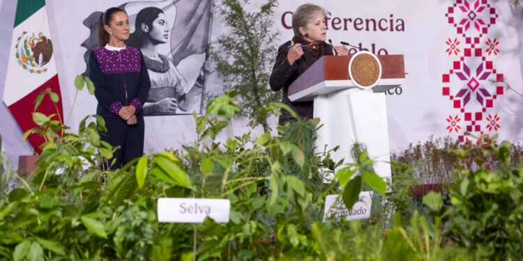 La carrera contra la deforestación ya comenzó; millones de árboles serán sembrados este domingo