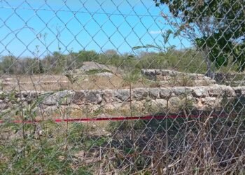 ¡DZoyilá, bajo la lupa! INAH vigila construcción de supermercado