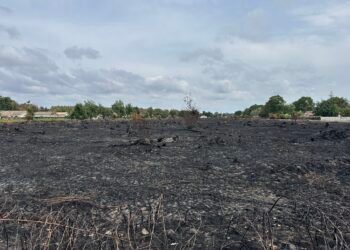 Incendio en Francia destapa un peligro oculto; recuperan más de 400 municiones de la Segunda Guerra Mundial