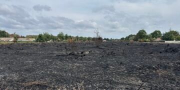 Incendio en Francia destapa un peligro oculto; recuperan más de 400 municiones de la Segunda Guerra Mundial