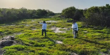 Desmonte ilegal en Celestún: la Profepa asegura más de 130 hectáreas