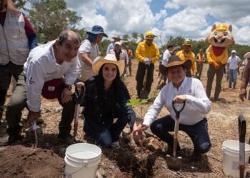 Yucatán echa raíces con más de 64 mil nuevos árboles