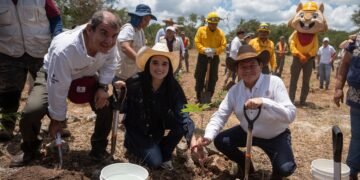 Yucatán echa raíces con más de 64 mil nuevos árboles
